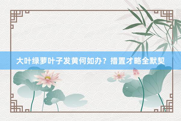 大叶绿萝叶子发黄何如办？措置才略全默契