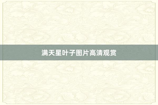 满天星叶子图片高清观赏