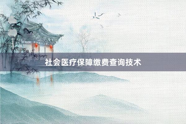 社会医疗保障缴费查询技术